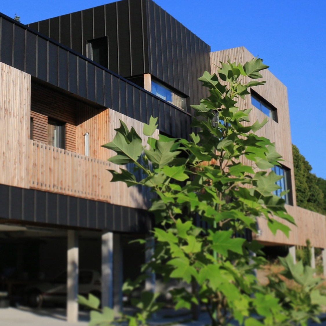 HAUTE COUTURE – photo projet pres carre