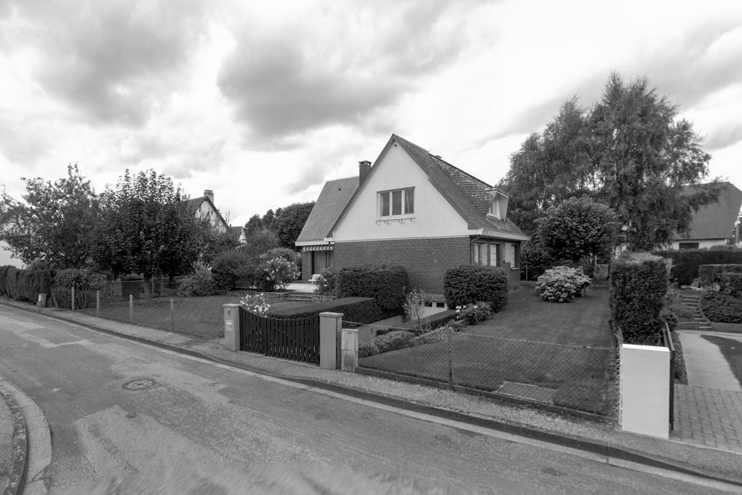 SNAKE Photo avant rue